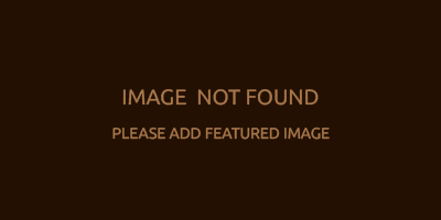 протокол лагерь 2024